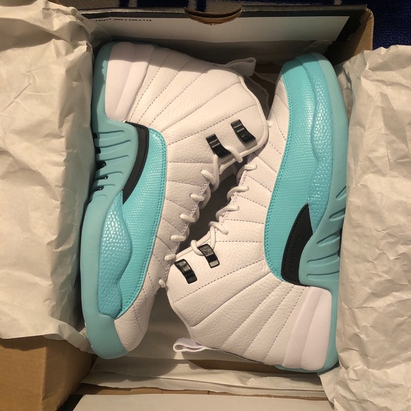 teal and white jordan 12